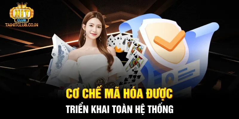 Cơ chế mã hóa được triển khai toàn hệ thống