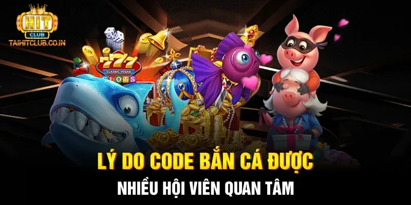 Lý do code bắn cá được nhiều hội viên quan tâm