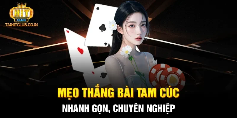 Mẹo thắng bài Tam Cúc nhanh gọn, chuyên nghiệp