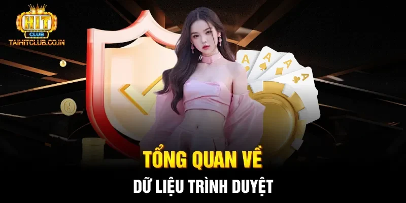 Tổng quan về dữ liệu trình duyệt